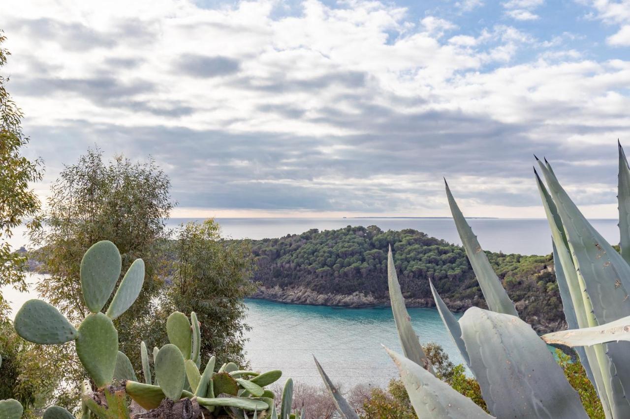 フェトヴァイアSimona Panoramaアパートメント エクステリア 写真